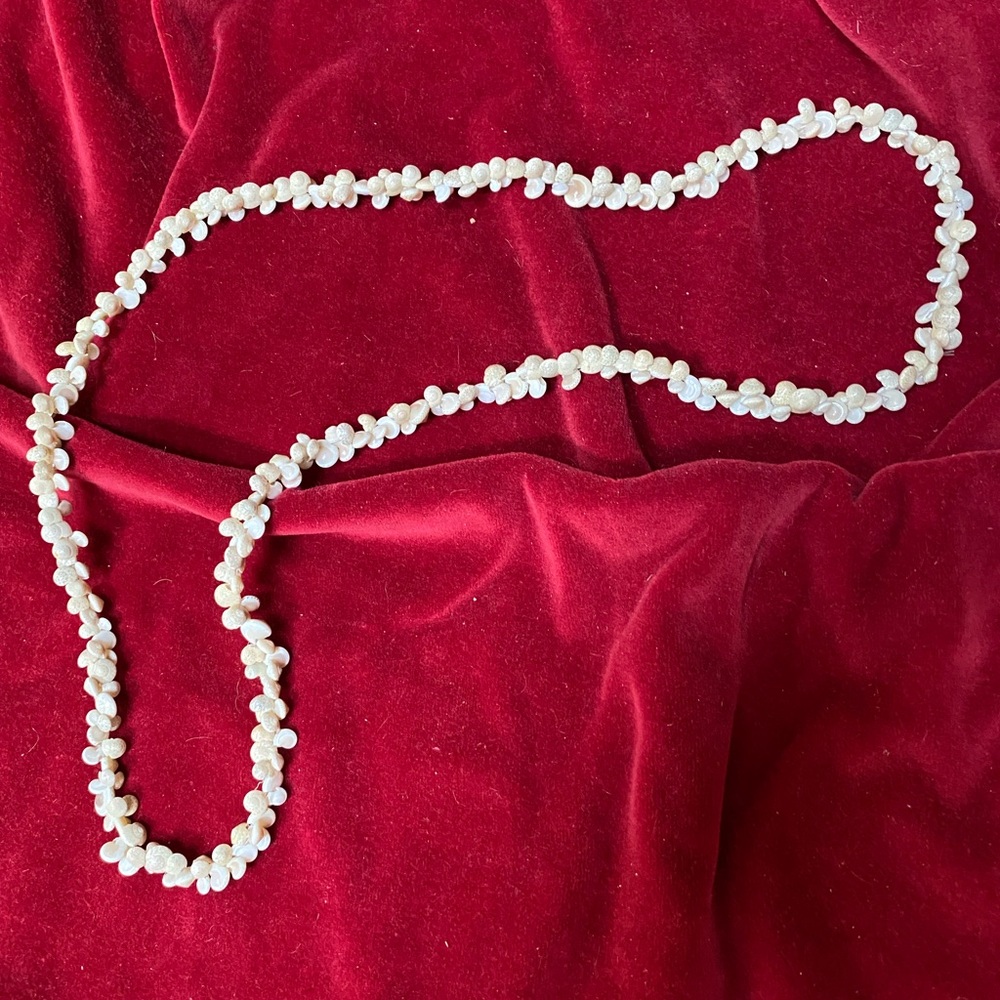 Shell necklace - Picture 2 of 6